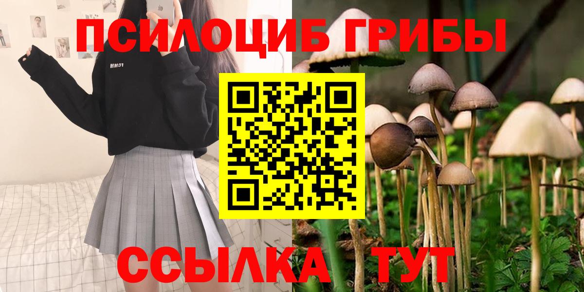 купить   Галлюциногенные грибы GOLDEN TEACHER  Вход с VPN  Тула 