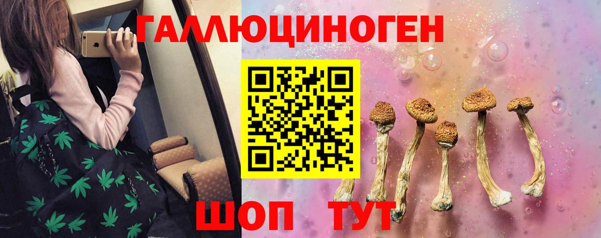 Псилоцибиновые грибы мицелий Тула